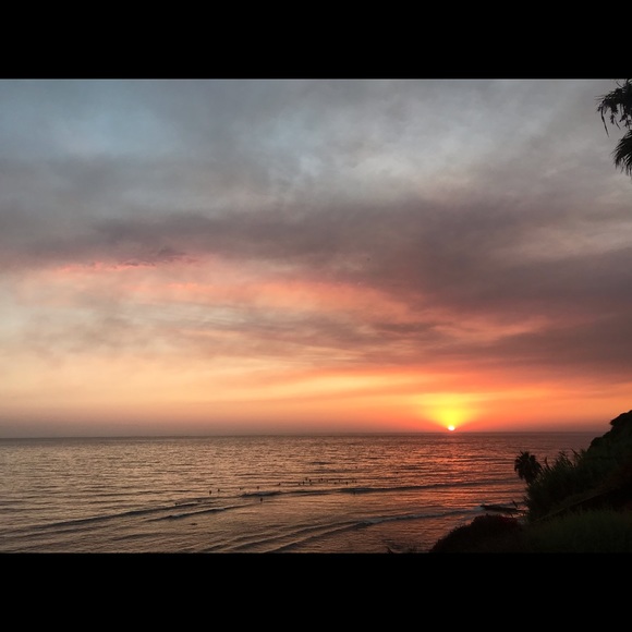 Meet your Posher, Steve - Picture 1 of 1